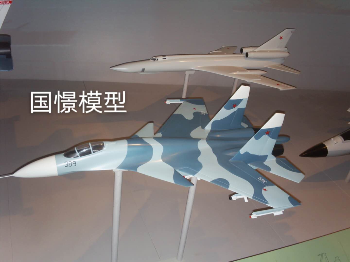 柳城县军事模型