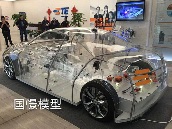 柳城县透明车模型